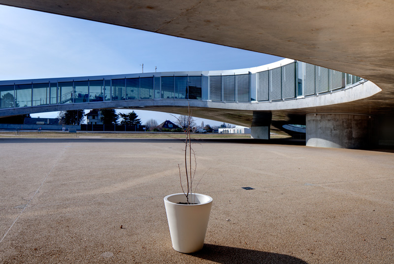 Ecole Polytechnique Federale: Rolex Learning Center (SANAA 2010)